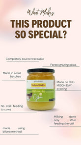 Natural Malnad Gidda Cow Ghee By Gorochana | Rich In Nutrients & Immunity Natural & Healthy Cultured Desi Ghee | (1 Litre) 33.8 Ounce | Jar Pack